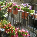 L'era De Baix *