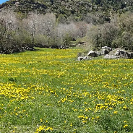Apartamento L´era De Baix *